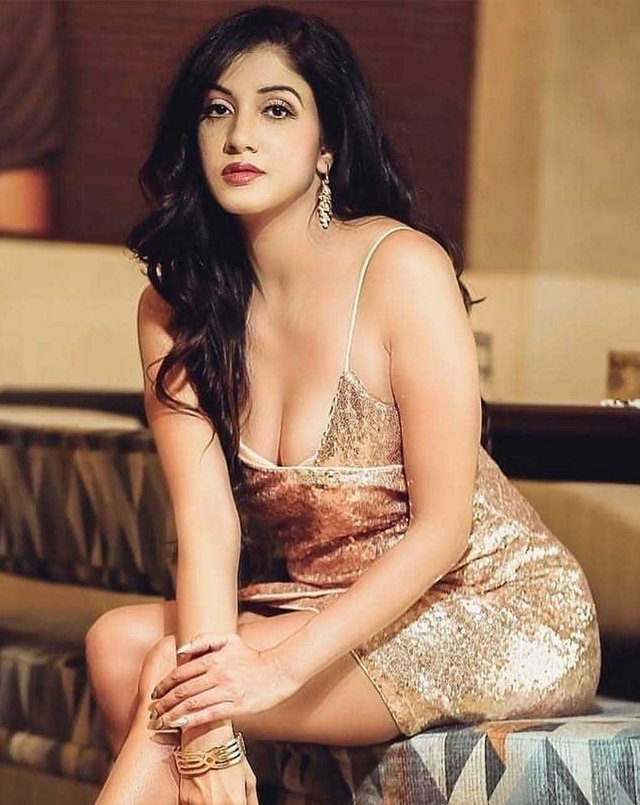 Escort Service in Malviya Nagar